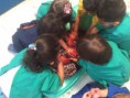/album/actividades-/a201444444-022-jpg/
